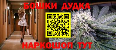 мдпв Славгород