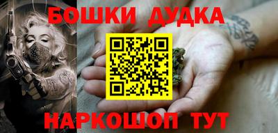 мдпв Славгород